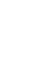 Bullet
