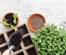 &iexcl;Manos a la tierra, es hora de empezar tu huerta en casa!