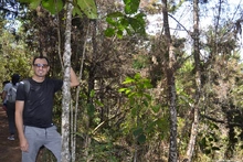 Jornada de siembra de &aacute;rboles
