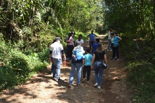 Jornada de siembra de &aacute;rboles