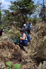 Jornada de siembra de &aacute;rboles