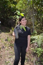 Jornada de siembra de &aacute;rboles