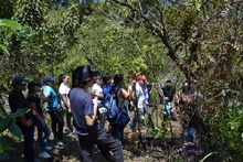 Jornada de siembra de &aacute;rboles
