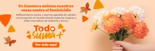 BANNER-EDU