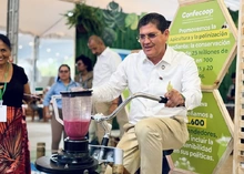 As&iacute; se vivi&oacute; la Cop16