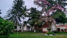 Campamento formativo Regional Bogot&aacute;