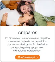 Amparos