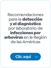 Recomendaciones para la detecci&oacute;n y el diagn&oacute;stico por laboratorio de infecciones por arbovirus en la Regi&oacute;n de las Am&eacute;ricas