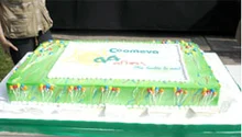 C6518_25125_44a&ntilde;os_05