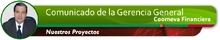 enc_Gerencia_FinancieraProyectos