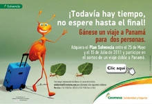p_hormigas_Eje