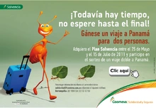 p_hormigas_Caribe