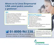 mailinglineaempresarial5