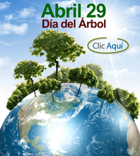 dia_arbol_2013