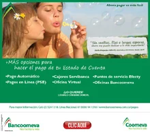 p_Banco_EstadoCuenta