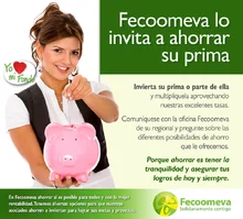 p_Feco_Prima