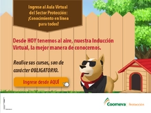 promocionales-07