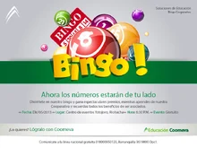 p_GSA_BINGORIOHACHA_DIC_2013