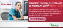p_Endpoint_INSTR