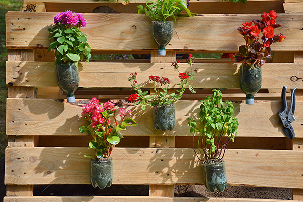 Huerta con pallets Huerta con pallets