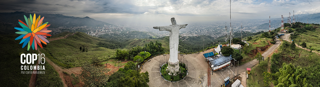 La COP16 en Cali. El mayor evento de biodiversidad del mundo será en Colombia La COP16 en Cali. El mayor evento de biodiversidad del mundo será en Colombia