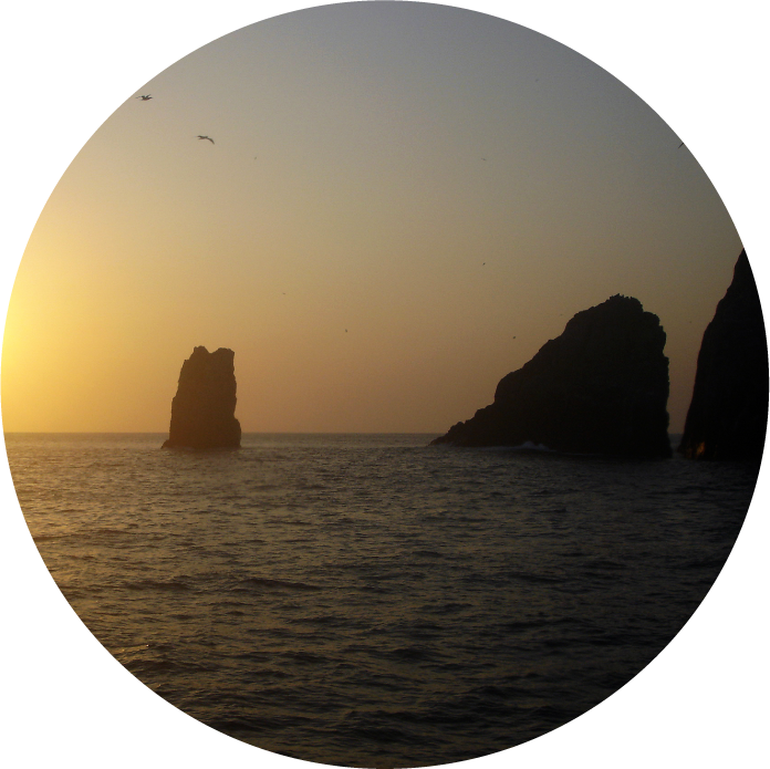 Buceo en la isla de Malpelo