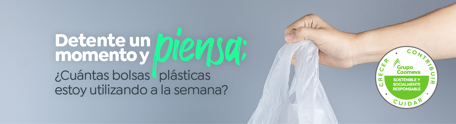 Detente un momento y piensa: ¿Cuántas bolsas plásticas estoy utilizando a la semana?