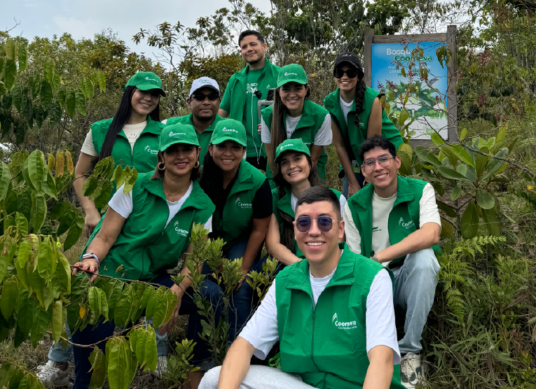 5 de diciembre Día Internacional de los Voluntarios 5 de diciembre Día Internacional de los Voluntarios