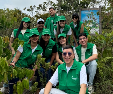 5 de diciembre, D&iacute;a Internacional de los Voluntarios