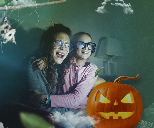 ¿Te gusta sentir terror frente a la pantalla? ¿Te gusta sentir terror frente a la pantalla?