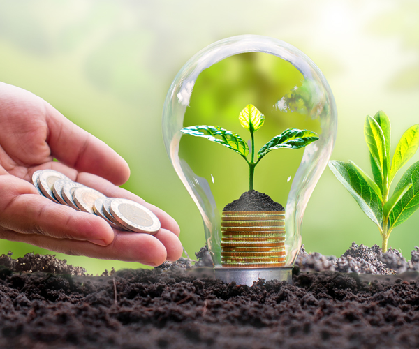 El Poder de las finanzas para salvar la biodiversidad El Poder de las finanzas para salvar la biodiversidad