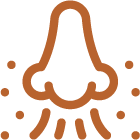 El Chocolate El Chocolate