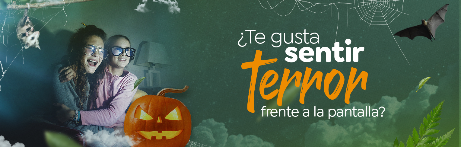 ¿Te gusta sentir terror frente a la pantalla? ¿Te gusta sentir terror frente a la pantalla?