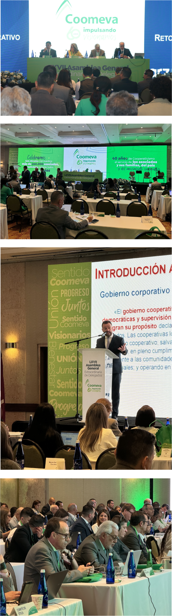 IMG Asamblea IMG Asamblea