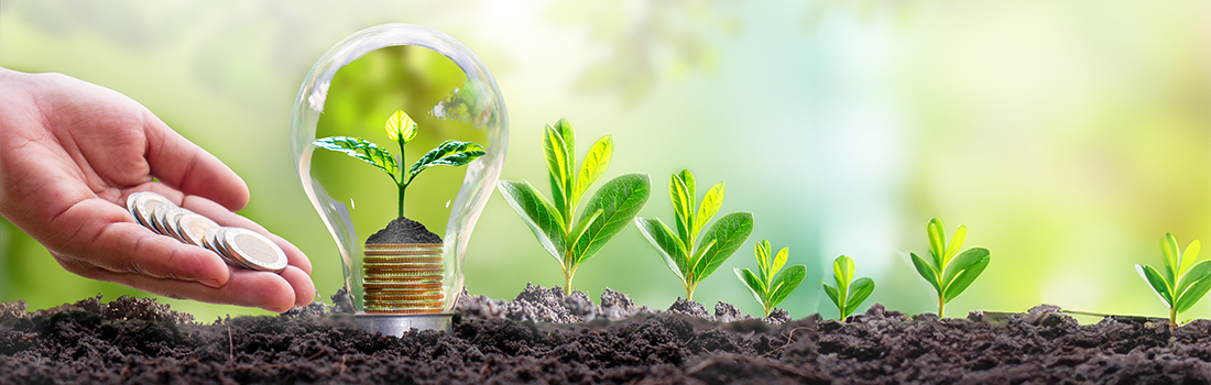 El Poder de las finanzas para salvar la biodiversidad El Poder de las finanzas para salvar la biodiversidad