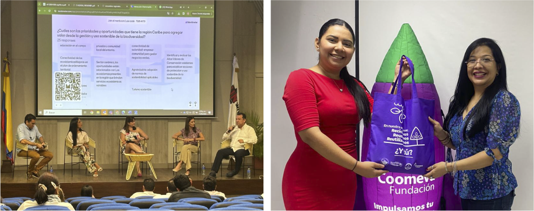 REGIONAL CARIBE REGIONAL CARIBE