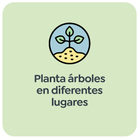 Planta árboles