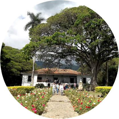 Valle del Cauca